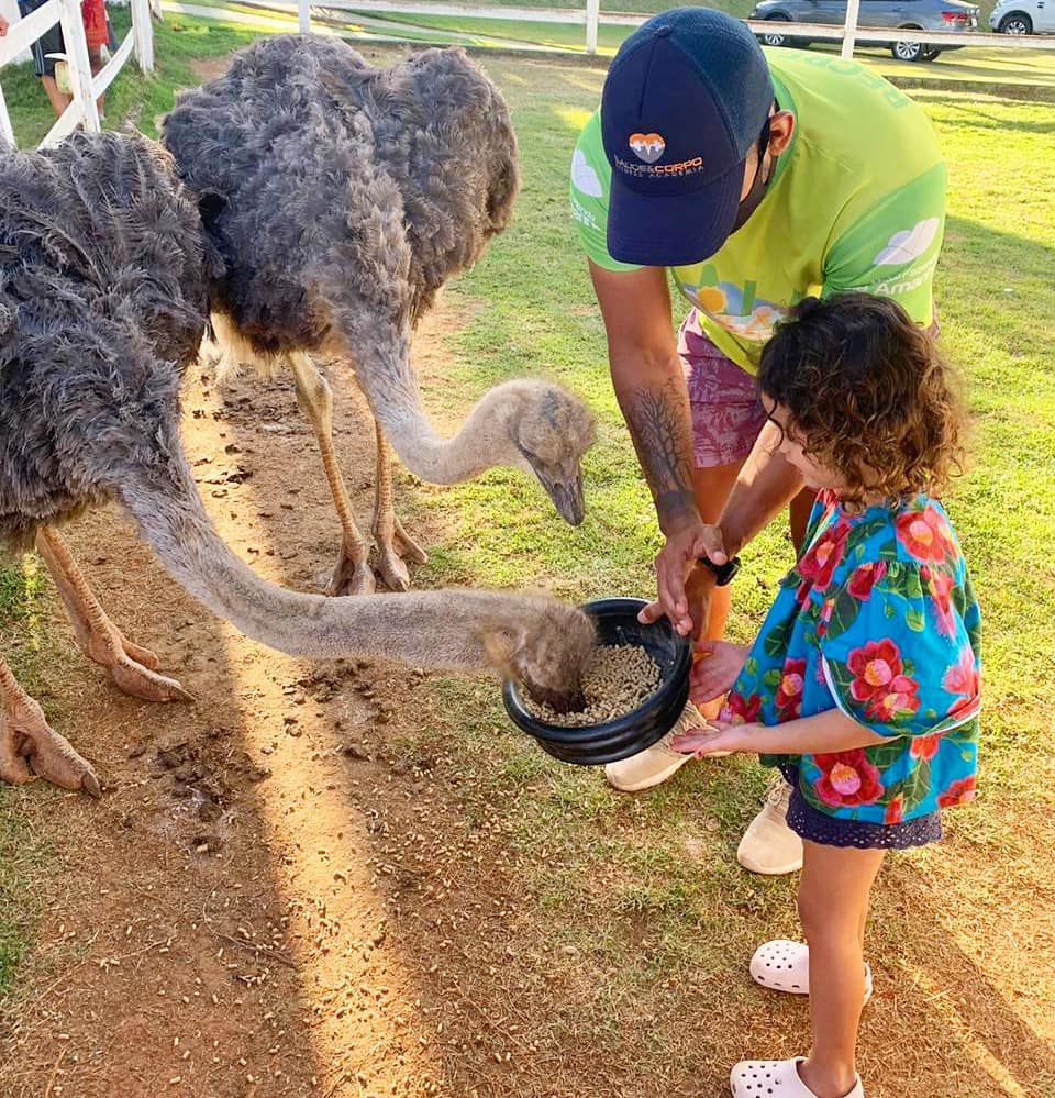 117609650_2692558344348904_5812737741717845777_n