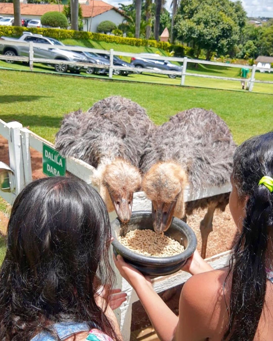 138292427_598285771035575_2175353229277334636_n