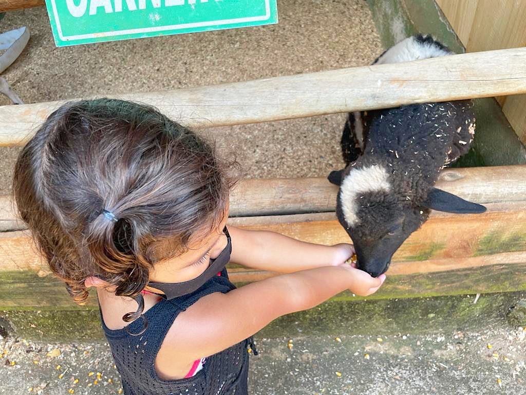 148640511_246770543643017_4037818675406018648_n