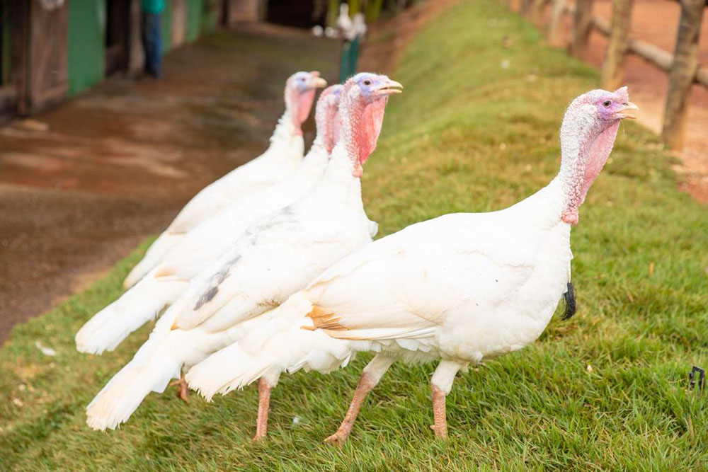 WhatsApp Image 2023-08-25 at 11.31.47 (2)