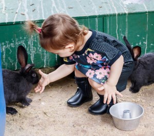 46699770_151896319111565_8673307902650272180_n