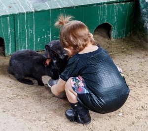 46702159_262590847948768_6319229914962332043_n